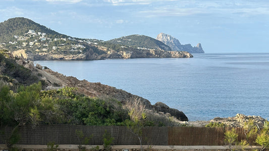 Join our Devine Wisdom Yoga Retreat in Ibiza 2025