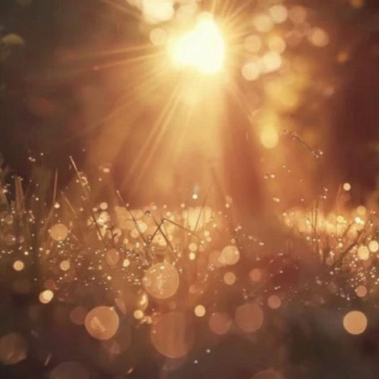 Women's Strawberry Moon Circle - 7th June - 16:00 - 18:00