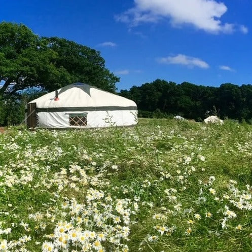 Summer Day Retreat