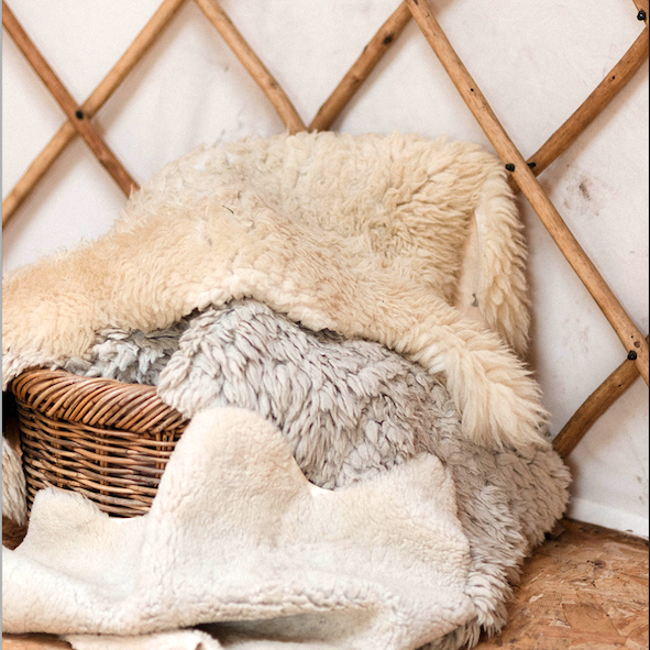 Spring Equinox Half Day Retreat - 29th March