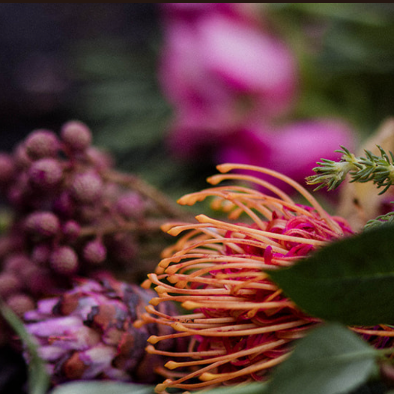 Spring Equinox Half Day Retreat - 29th March